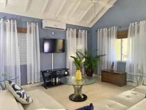 โทรทัศน์และ/หรือระบบความบันเทิงของ Jamnick Vacation Rentals - Richmond, St Ann, Jamaica