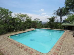 une grande piscine bleue avec un sol en briques et des arbres dans l'établissement Viewpoint Lodge & Safari Tours, à Hazyview