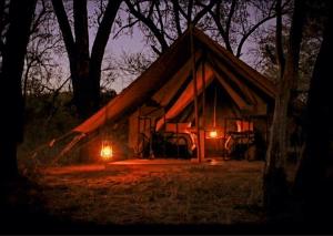 Fotografie z fotogalerie ubytování Somkhanda Game Reserve v destinaci Pongola