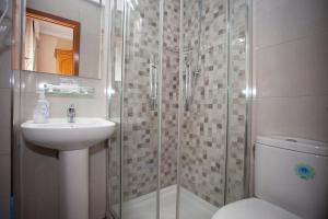 マドリードにあるホスペダヘ ロス ロサレスのバスルーム(シャワー、洗面台、トイレ付)