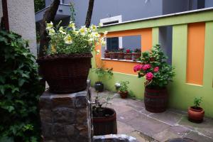 Zahrada ubytování Guest Accommodation Etno Konak Tašana