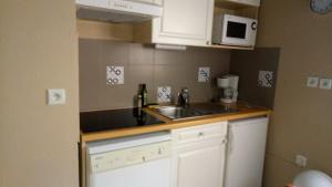 une petite cuisine avec un évier et un micro-ondes dans l'établissement Résidence Eterle, à Luz-Saint-Sauveur