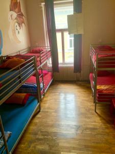 Pograd oz. pogradi v sobi nastanitve Carpe Noctem Hostel