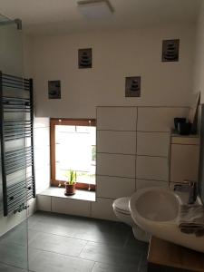 łazienka z umywalką, toaletą i oknem w obiekcie Lissy's alte Schmiede 