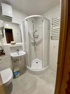 a bathroom with a shower and a toilet and a sink at Hotel Panorama in Kremenetsʼ
