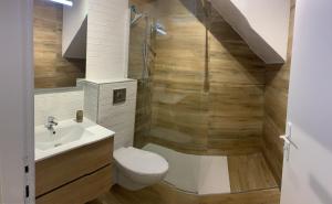 een badkamer met een toilet, een wastafel en een douche bij cekalauthymae in Borgo