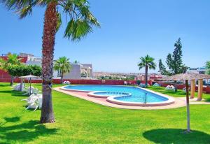 uma piscina num parque com palmeiras em Apartment with large roof solarium em Orihuela Costa