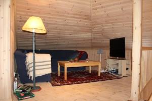 TV a/nebo společenská místnost v ubytování Magnesplass - Dagalifjell