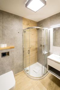 a bathroom with a shower and a sink at Villa Aura in Świnoujście