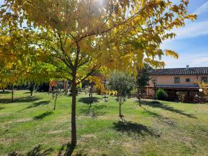 Vonkajšia záhrada v ubytovaní SassoMatto b&b BioAgrituRelax