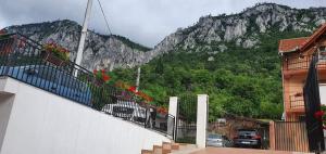 a balcony with flowers on it with a mountain at Casa Mimi in Băile Herculane