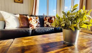 a living room with a couch and a table with a potted plant at Langahlid Cottages & Hot Tubs in Seyðisfjörður