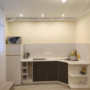 a small kitchen with a sink and a refrigerator at Oasis Apartments in Pärnu