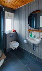 a bathroom with a toilet and a sink and a mirror at Langahlid Cottages & Hot Tubs in Seyðisfjörður