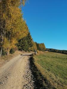 Příroda nedaleko apartmánu