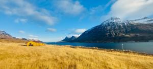 a yellow house in front of a lake and mountains at Langahlid Cottages & Hot Tubs in Seyðisfjörður