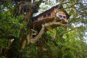 Fotografie z fotogalerie ubytování Kumbuk Tree House v destinaci Tissamaharama