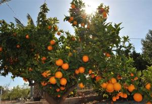 Fotografie z fotogalerie ubytování Casa Miantojo v destinaci Mazarrón
