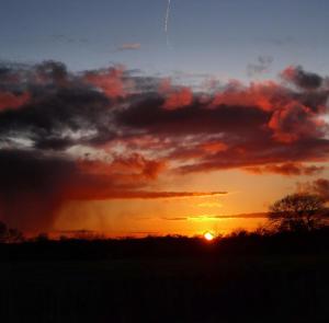 Gallery image of The Oaks Glamping - Magpie Half Shepherds Hut in Colkirk