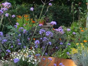 um jardim cheio de flores roxas em The Oaks Glamping - Magpie Half Shepherds Hut em Colkirk