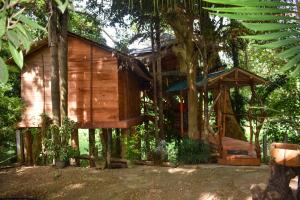 domek na drzewie w środku lasu w obiekcie Kumbuk Tree House w mieście Tissamaharama