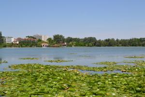 Φυσικό τοπίο κοντά σε αυτός ο ξενώνας