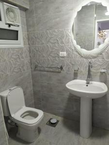 a bathroom with a toilet and a sink and a mirror at شقةعلى البحرمباشرةسيدي بشرالمربع الذهبي in Alexandria