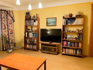 a living room with a flat screen tv and book shelves at Terbatas Apartment in Rīga +4 photos
