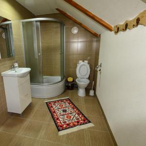 a bathroom with a toilet and a shower and a rug at Sub Creasta Cocosului in Breb +92 photos