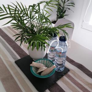 a table with a plate of food and a plant at AmaRiaCity AL in Aveiro