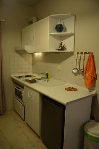 A kitchen or kitchenette at Thalis Rooms