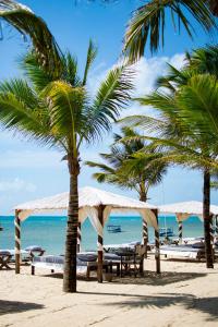Billionaire Resort & Retreat Malindi في ماليندي: شاطئ فيه نخيل وكراسي والمحيط