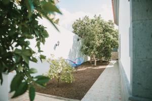 A garden outside Villa Cervantes Sonnenland con piscina privada climatizada
