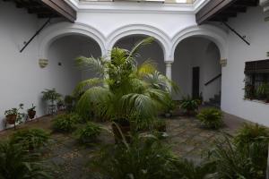 A garden outside CASA PALACIO LAS PALOMAS