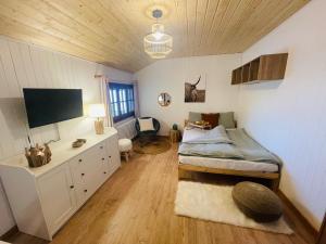 TV a/nebo společenská místnost v ubytování Studio avec sauna - 300m des pistes