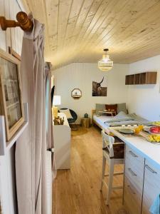 Zimmer mit Küche und Wohnzimmer in der Unterkunft Serpolet - Studio - Sauna in Leysin