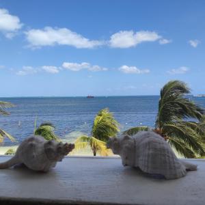 dos estatuas de elefante sentadas en una cornisa cerca del océano en Bella Beach Condo Vacation 2 bedrooms en Cancún