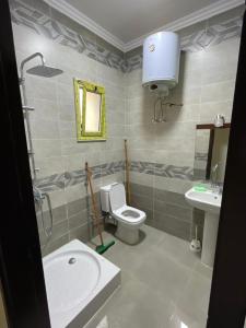 a bathroom with a toilet and a sink at Rayan Apartment in Hurghada