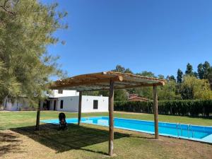 a dog sitting under a pergola next to a swimming pool at Gran Pocito Chalet in San Juan