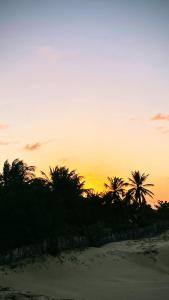 a sunset on the beach with palm trees at Pousada Azul Blue in Amontada