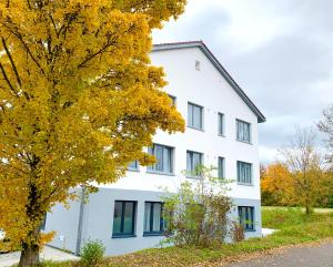 a white building with blue windows and a tree at boardinghouse Main-Tauber in Tauberbischofsheim