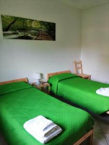 two green beds sitting next to each other in a room at B&B Ginevra in Gizzeria