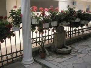 Vonkajšia záhrada v ubytovaní Blue Dream Hotel