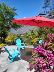 a patio with two chairs and a red umbrella and flowers at Auberge du Cap in Cilaos