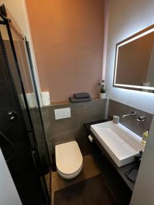 漢諾威的住宿－elegant and relaxing nordstadt studio，一间带水槽、卫生间和镜子的浴室
