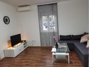 un soggiorno con divano e TV di Apartments Beciri a Sveti Vid-Miholjice