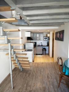 日安的住宿－Bord de Loire，一间厨房,在房间内有螺旋楼梯