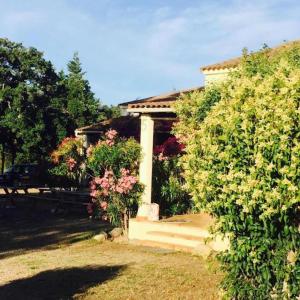 une maison avec des buissons et des fleurs dans la cour dans l'établissement Palauma Plage, à Sari-Solenzara