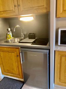 a kitchen with a sink and a dishwasher at Résidence LE BEC DE L'AIGLE in Le Lioran