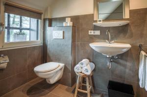 a bathroom with a toilet and a sink at B&B Erve Groot Wegereef in Hengevelde